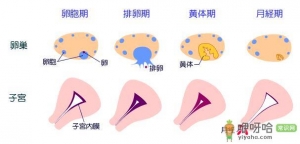 女人再不管好大姨妈 将导致妇科重症疾病