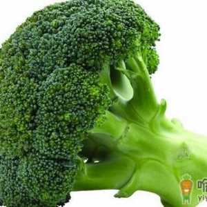 女性养护子宫就靠这5种食物