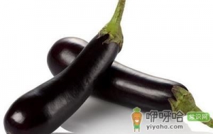 茄子的饮食禁忌 女性吃茄子抗衰老