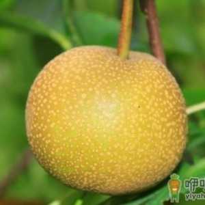 补肾食物新吃法 让男人更强壮