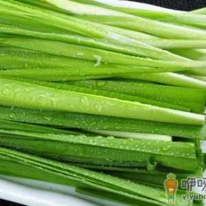 韭菜的功效 韭菜能治阳痿
