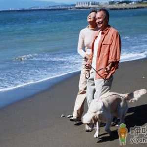老年生活“慢”处方
