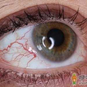 男人七个地方出血很难补回来