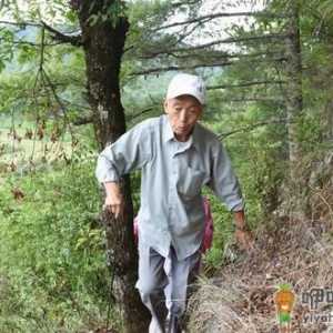 老人爬山有哪些关键点