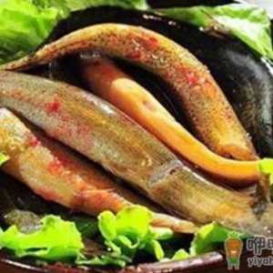 弱精症是由哪些因素引起的