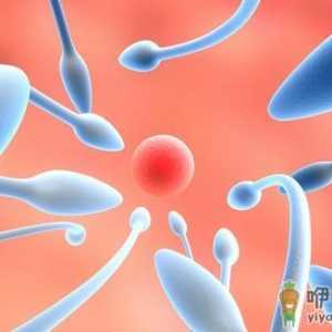 男人的精子会用光吗 精子有何好处