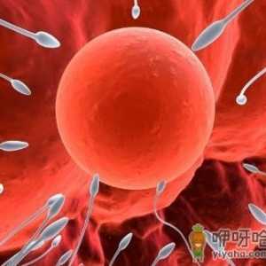 精子弱能生男孩吗？什么样的精子能生男孩