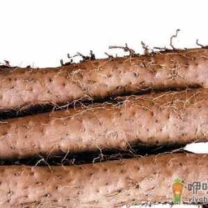 男性肾虚吃什么食物强肾好