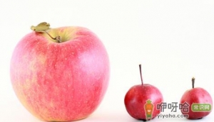 苹果能治疗前列腺炎吗