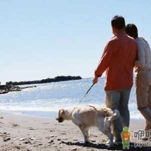 老人散步有讲究 高血压早上别散步