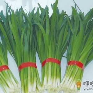 男性肾虚吃什么 推荐十种常见食物