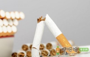 男人抽烟应该吃什么来补