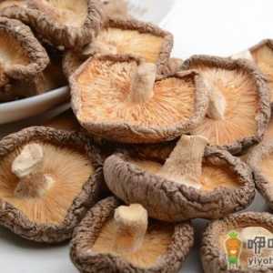 老人吃菌菇能预防心血管疾病