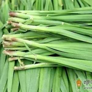 男性保健之中医补肾