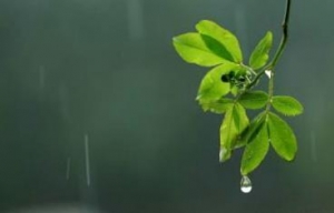 多雨季节老人该如何养生