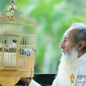 养生重在养心 老人切莫迷恋养生