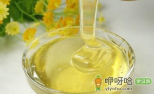 催情助性常见的7种食物