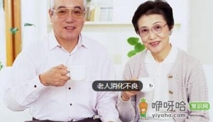 老人消化不良怎么办