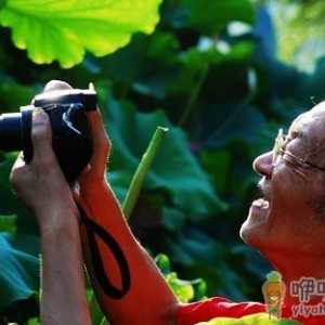 中老年人应如何健脑