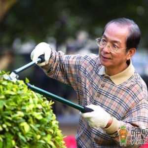 老人坚持8个习惯能长寿