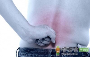 老人骨质增生吃什么好