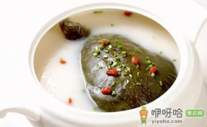 喝甲鱼血能治男人阳痿吗
