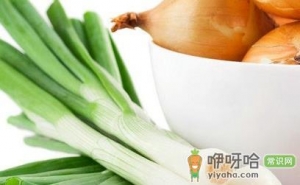 大葱的功效与作用 大葱能壮阳