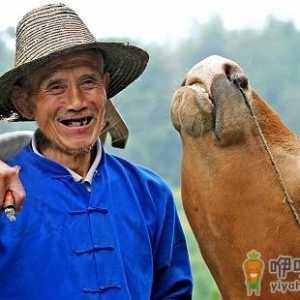 8个步骤预防老年痴呆