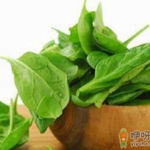 经常吃菠菜可以有效预防老年痴呆症