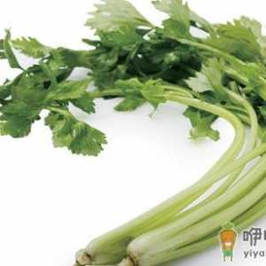 男性吃哪些食物会伤害到精子