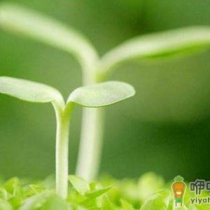 男人春季要如何养生？