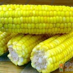 老人脑血管硬化吃什么好