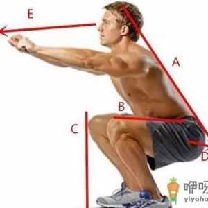 男性深蹲能提高性能力吗 深蹲的好处