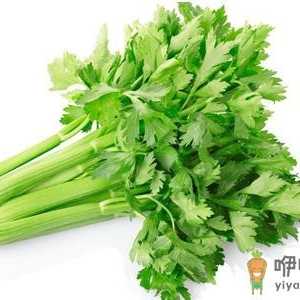 老人吃这6种蔬菜降血脂才更健康