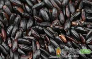 男人肾虚表现 男人补肾食物