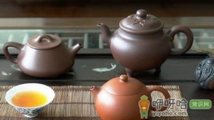 上班族喝什么茶比较好