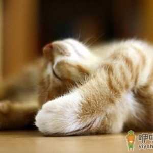 上班族伸伸懒腰更健康哦！