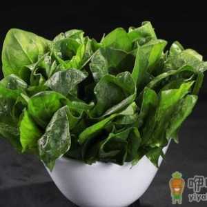保护上班族眼睛的食物和花茶