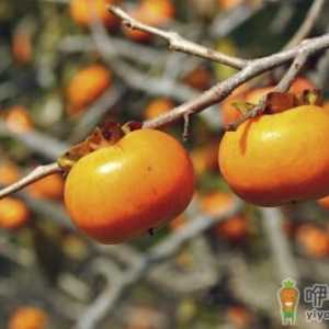 根据职业吃水果 这样吃水果才营养
