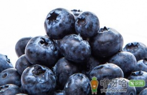 女性上班族吃蓝莓抗氧化