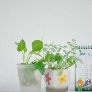 看看哪种白领减压方法最有效