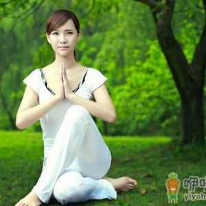 脑力工作者的睡眠问题与亚健康