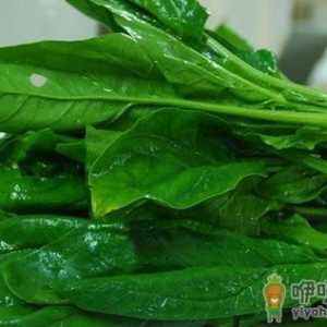 多吃五种食物 让白领身体更有活力
