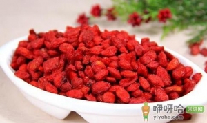 白领女性肾虚吃什么好