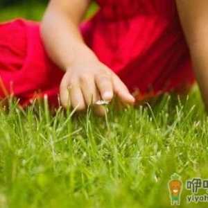 这些饮品帮助上班族有效提神