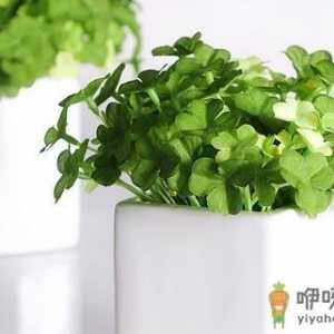 改善办公环境 远离辐射危害