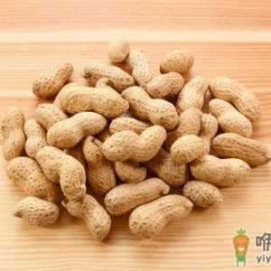 冬季吃哪些食物最营养