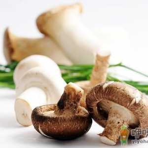 鲜蘑菇要如何保存