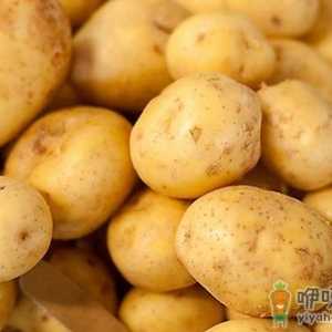 土豆块越大越营养 蒸着吃营养素损失最少
