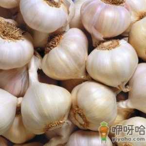 大蒜怎么吃最有效？吃大蒜的功效及禁忌